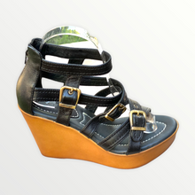 Load image into Gallery viewer, Buckles